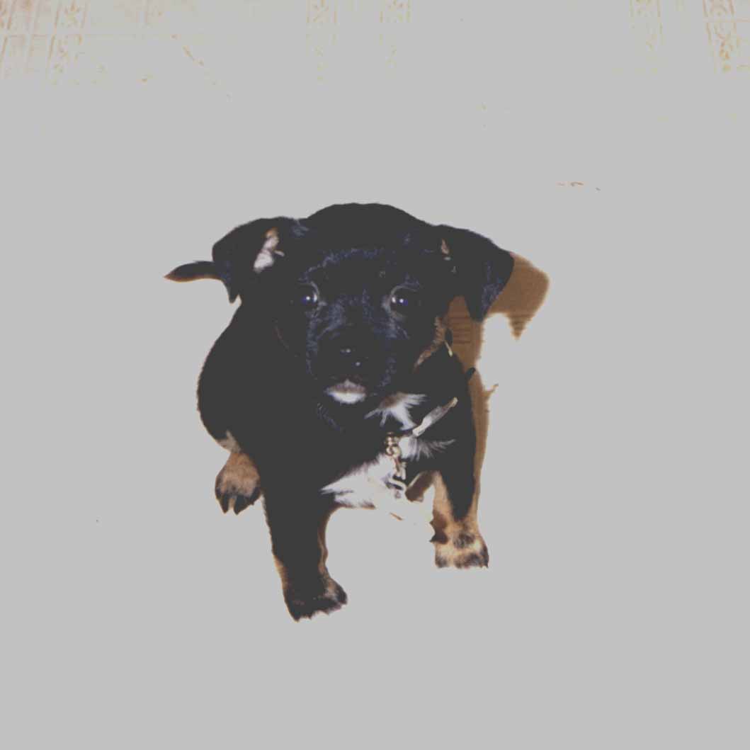 Kool And The Gang - Something